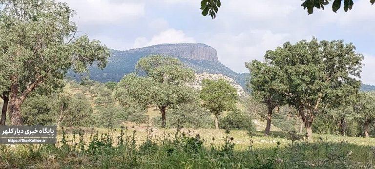 با منطقه گردشگری “ناودار” بیشتر آشنا شوید