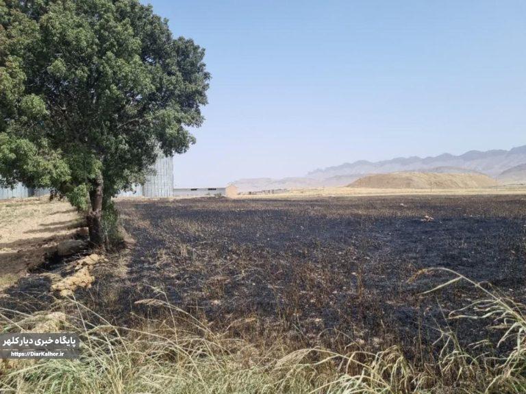 حریق به جان مزارع گیلانغرب آفتاد