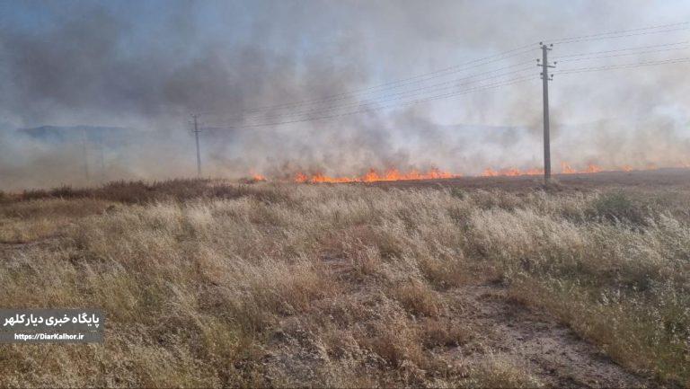 آتش بیش از۵۰هکتاراز مزارع گیلانغرب را بلعید