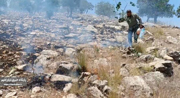 آتش سوزی های پیاپی در منطقه حفاظت شده قلاجه گیلانغرب