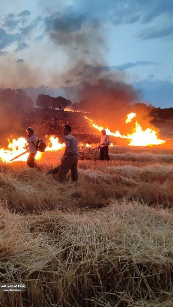 رعد و برق ۴۲هکتار از مزارع گیلانغرب را سوزاند