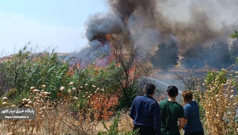 اتش در دل جنگلهای زاگرس/ حریق در گیلانغرب مهار شد + تصاویر
