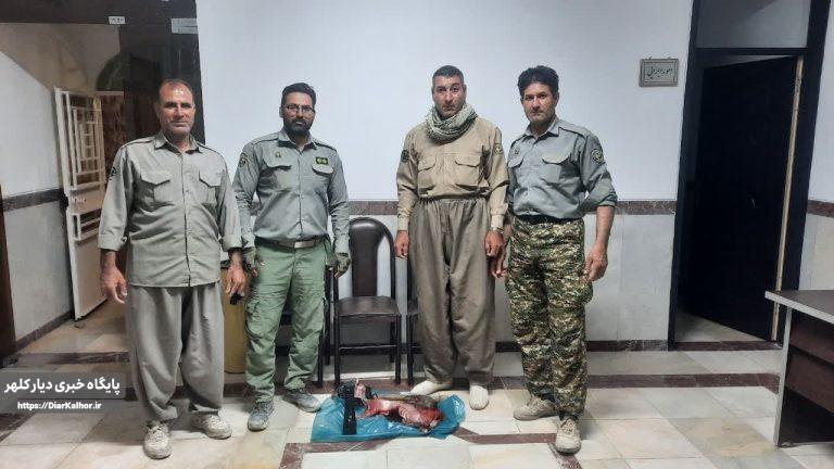 شکار غیر مجاز؛کابوس حیات وحش در گیلانغرب /شکارچیان در دام قانون