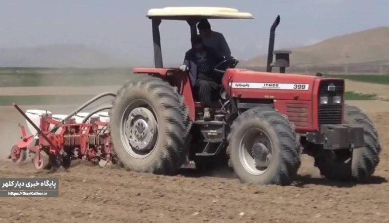 ۳۵۰هکتار از اراضی آبی گیلانغرب زیر کشت کشت چغندر پاییزه