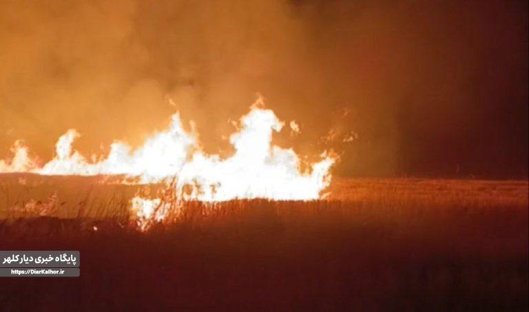 پایان آتشسوزی قبل از رسیدن به مراتع ارتفاعات قلاجه در بخش گواور