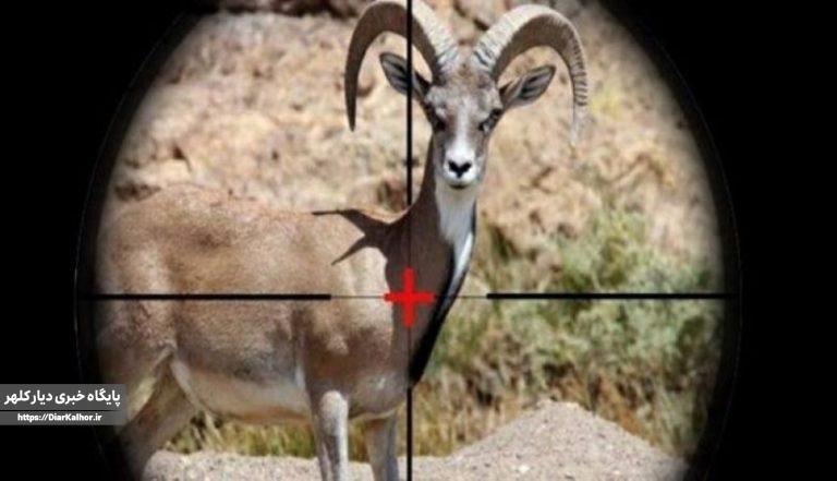 ضرورت توجه به حیات وحش و محافظ از اکوسیستمها درگیلانغرب