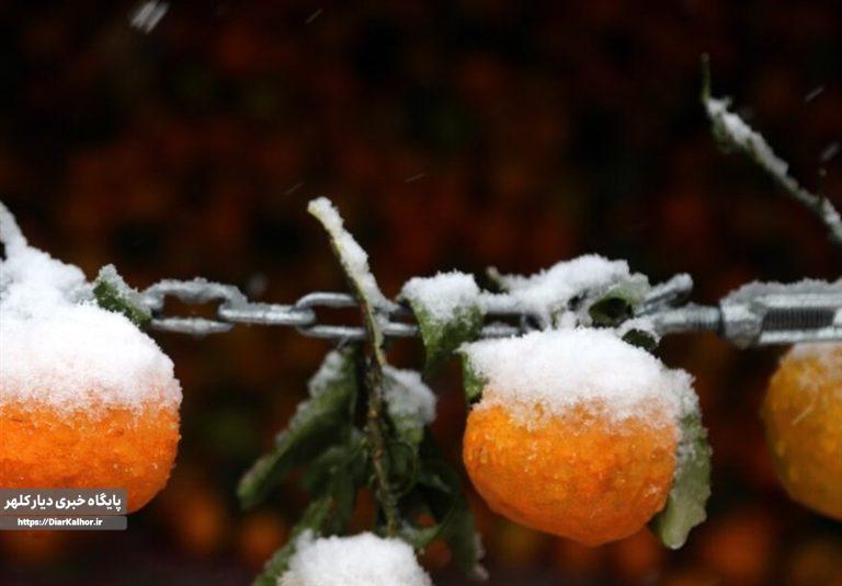 هواشناسی ایران ۱۴۰۳/۹/۱۸؛ ورود سامانه بارشی به کشور