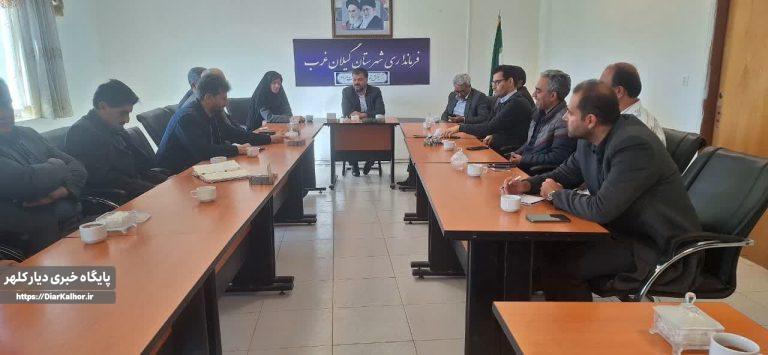 بررسی توسعه “درختچه مورت” و ساماندهی حاشیه سد سراب در گیلانغرب