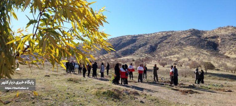 کاشت نهال به مناسبت روز مادر در گیلانغرب+عکس