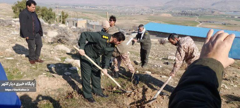 پویش درختکاری «به نام پدر» درگیلانغرب +عکس